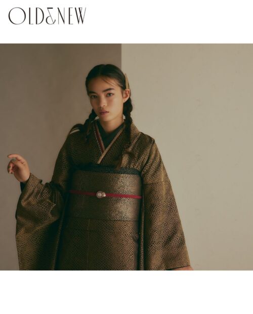 無地感覚シンプル振袖／パイソン織×ブラウン 成人式レンタル振袖